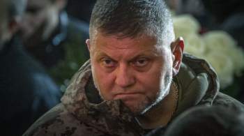 В Киеве раскрыли, что произойдет после отставки Залужного 