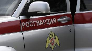В Волгоградской области сбили беспилотник 
