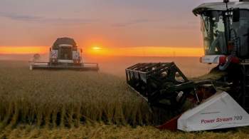 Эксперт заявил, что Россия станет главным поставщиком зерна в Индонезию 