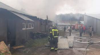 Во Владимирской области загорелся склад на площади 1600 квадратных метров 