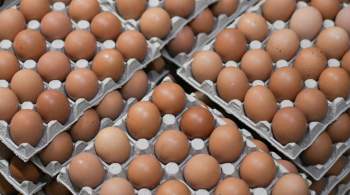 Минсельхоз ожидает стабилизации цен на яйца в ближайший месяц 