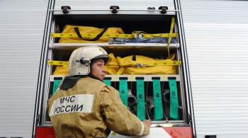 Пушилин: при взрыве автомобиля в Подмосковье погибла дочь Дугина
