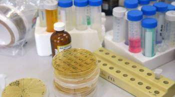 Гинцбург назвал сроки разработки вакцины от омикрон-штамма коронавируса