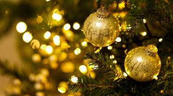 Более 500 новогодних елок отправили из Удмуртии в ЛНР и на СВО 