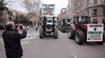 В центр Мадрида направляются сотни тракторов к акции протеста 