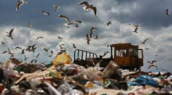 В России хотят перенести реформу по утилизации отходов