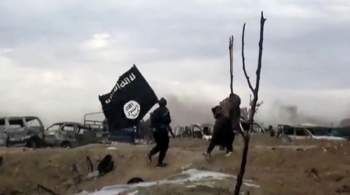  Аль-Каида * пригрозила атаками против шведских и французских ведомств 