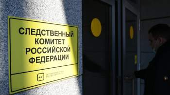 СК возбудил дело после того, как таксист сбил мальчика на переходе в Москве 