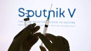 Гинцбург сравнил спектр антител после вакцинации  Спутником V  и Pfizer