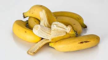 Нутрициолог объяснила, почему не нужно выкидывать банановую кожуру