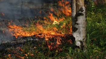 В Удмуртии на площади 300 гектаров загорелась сухая трава