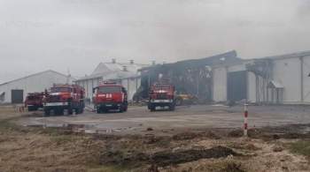 В Брянской области ликвидировали пожар на территории птицеводческой фермы