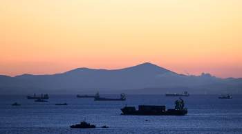 Источник сообщил о перекрытии Босфора из-за неисправности танкера 