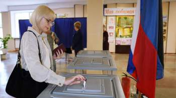 В ДНР не нашли нарушений при проведении выборов 