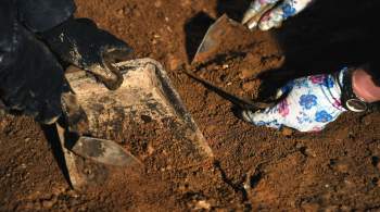 Археологи нашли в Сибири следы неизвестного древнего племени 
