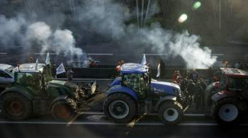 К рынку Рюнжи под Парижем пригнали бронемашины в ожидании протеста фермеров 