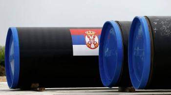 Вучич заявил, что попросит Путина о дополнительных поставках газа