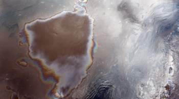 В Татарстане разлив нефти загрязнил тысячи квадратных метров сельхозземель