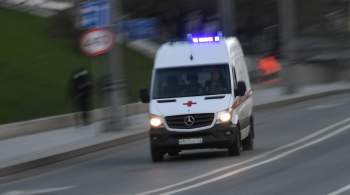 Под Ульяновском три человека, включая ребенка, погибли в ДТП с грузовиком 