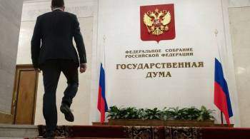 Депутаты Госдумы рассказали об ожиданиях от встречи с Путиным