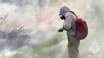 Якутский оперштаб опроверг сообщения о гибели военных из-за лесных пожаров