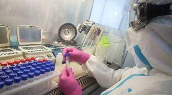 Попова: Россия готова поделиться опытом по секвенированию коронавируса