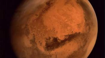 Космонавт Гребенкин прокомментировал марсианские амбиции Маска 