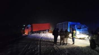 Под Саратовом в ДТП с грузовиками пострадали три человека 