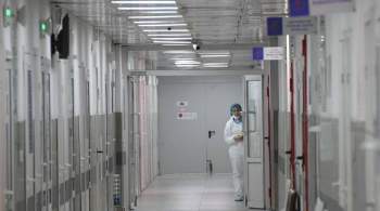 В России за сутки умерли 663 пациента с коронавирусом