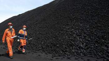 В ДНР оценили перспективы поставок угля на Украину
