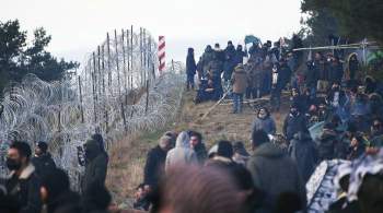 Польские пограничники заявили о выстрелах на белорусской стороне границы