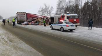 В Пензенской области столкнулись микроавтобус и грузовик, есть жертвы