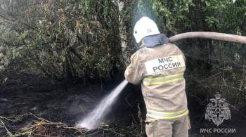 В Свердловской области ввели режим ЧС из-за лесных пожаров 