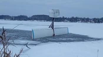 В Тверской области легкомоторный самолет сел на лед Волги 