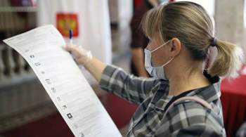 Москалькова назвала причину сбоя электронной системы голосования в Москве