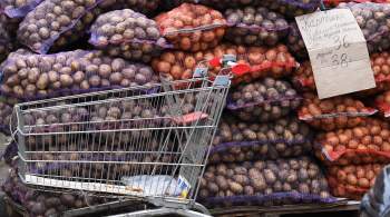 Минсельхоз заявил о намерении удержать текущие цены на картофель
