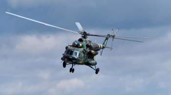 Литва анонсировала передачу Украине зенитных орудий и вертолетов