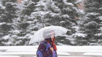 Синоптики пообещали москвичам продолжение снегопада