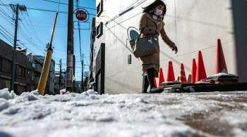 В Токио из-за снегопада пострадали более 200 человек, сообщили СМИ