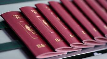 В СПЧ предложили сделать утечку данных основанием для замены паспорта