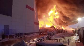 Пожар в Шушарах стал крупнейшим среди российского ритейла 