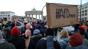 Правительство Германии настраивает немцев против АдГ, считают в партии 