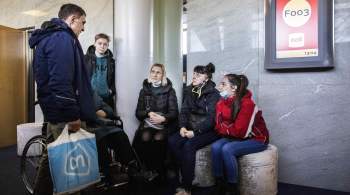 В Нидерландах заявили, что украинцы едут в страну ради бесплатного жилья 