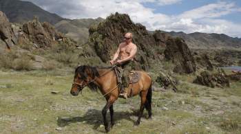 Британцев поразили фотографии Путина, опубликованные Daily Mail