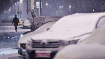 Ночь на пятницу стала самой холодной в этом сезоне в Москве
