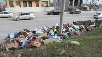 СМИ: правительство поддержало новый штраф за выброс мусора