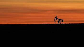 В Indian Oil допустили снижение спроса на нефть из-за  омикрона 