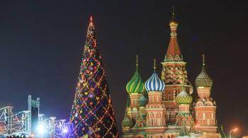 Главную новогоднюю елку доставили в Кремль 