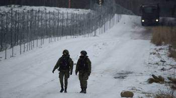 В Польше заявили о ранении солдата при попытке мигрантов штурмовать границу