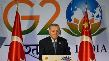 Источник: переговоры Эрдогана по зерновой сделке на G20 были конструктивны 